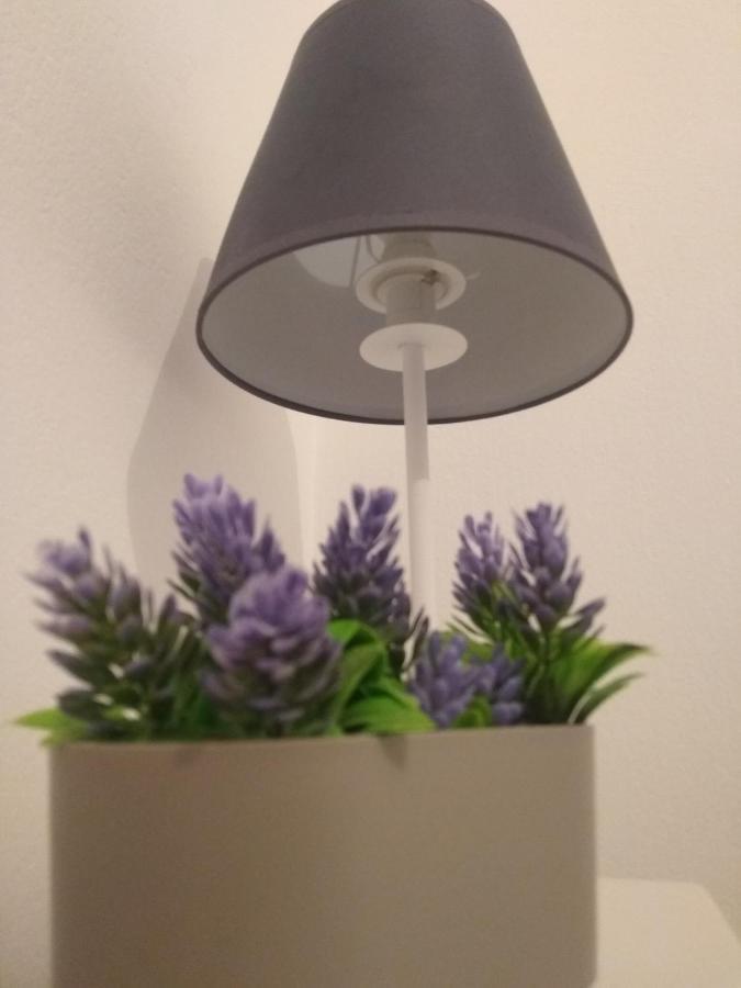 Apartament Demy'S Studio Acharavi  Zewnętrze zdjęcie